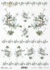 rumianek, łąka, ogród, białe kwiaty,  kwiatki, ornamenty kwiatowe, R680, camomile, meadow, garden, white flowers, flower ornaments, Kamille, Wiese, Garten, weiße Blumen, Blumenschmuck, manzanilla, prado, jardín, flores blancas, flores, adornos florales